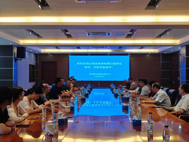 云南省电线电缆行业协会调查团来公司调查调研